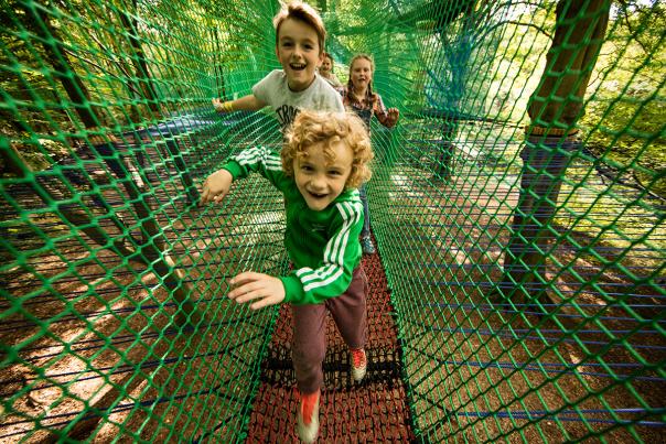 Adventure in the high trees of Manchester's ancient woodland