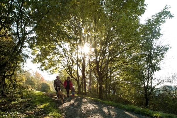 Top 5 Walks in Bolton
