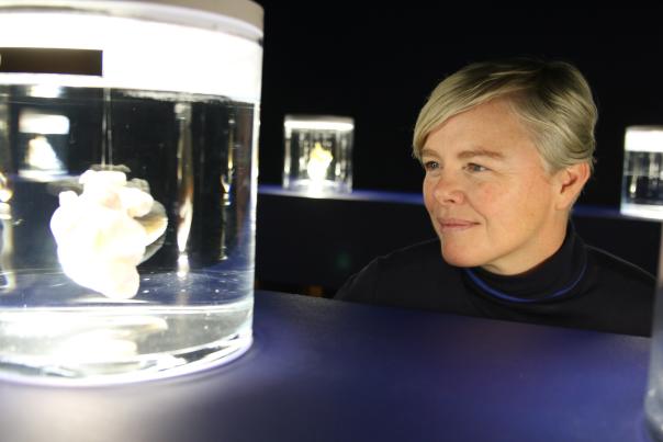 Curator to lead free ‘tour and talk’ of ‘The State of Us’ exhibition at The Lowry