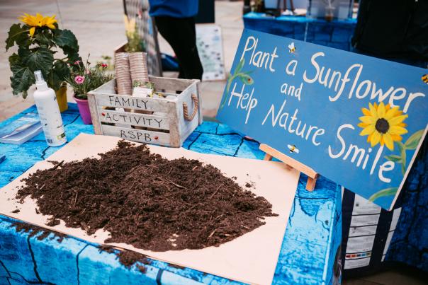 A workshop at Manchester Flower Festival on planting a sunflower