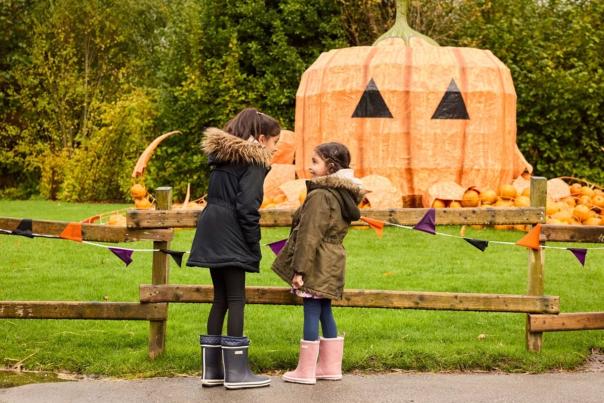 Two children dressed for winter outside a pumpkin display at Chester Zoo