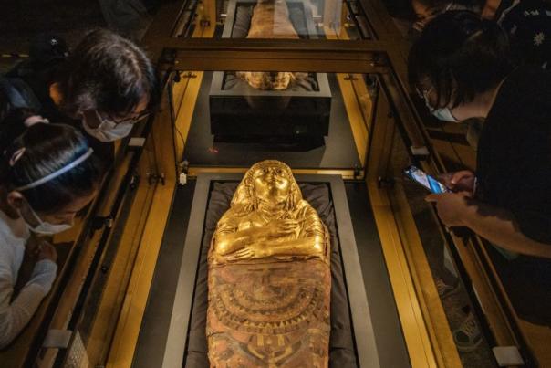Manchester Museum announces reopening date