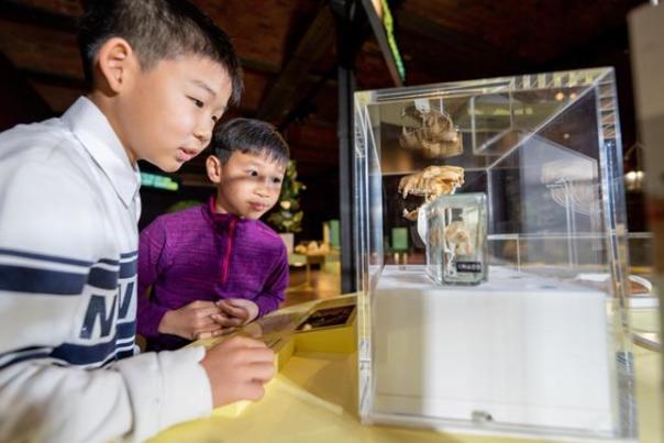 12 Things to do in Greater Manchester this Half Term