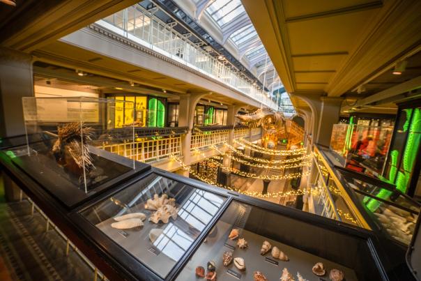 World Tourism Day: Meet The Manchester Attractions Creating a Greener Future