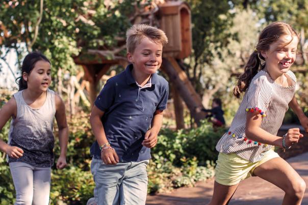 RHS Bridgewater Gardens: The Great Garden Adventure