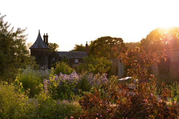 Evening sunshine at Bridgewater Gardens