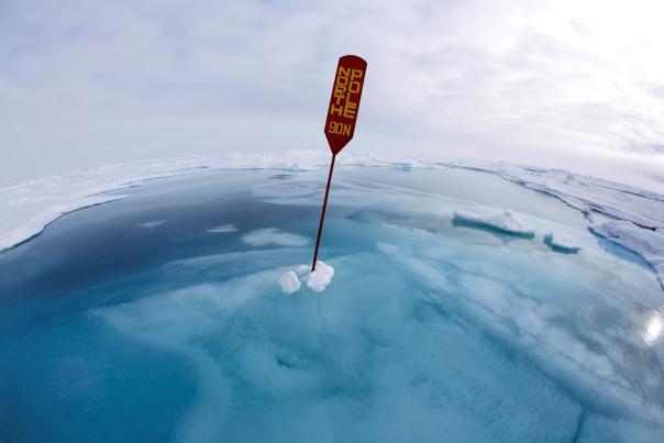 Manchester Science Festival launches by revealing winners of The Royal Photographic Society’s Science Photographer of the Year