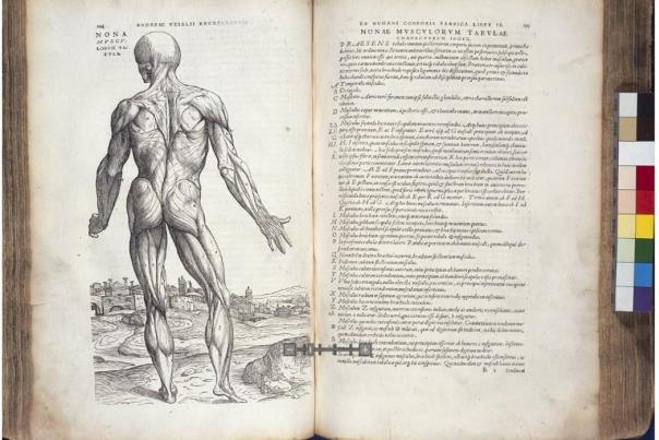 Discover the fascinating history of Medicine Through Time ONLINE thanks to The John Rylands Library 