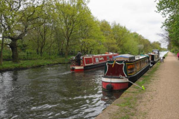 Top 5 Walks in Trafford