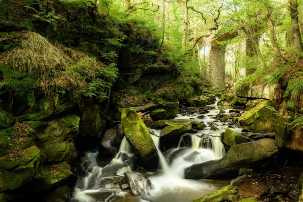 River and viaduct inside nature reserve