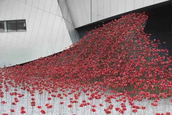 Five things you can do in Greater Manchester this week (8-14 November)