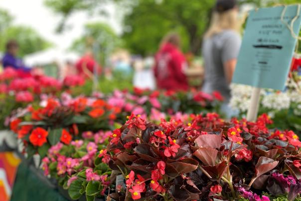 Garden Faire 2023