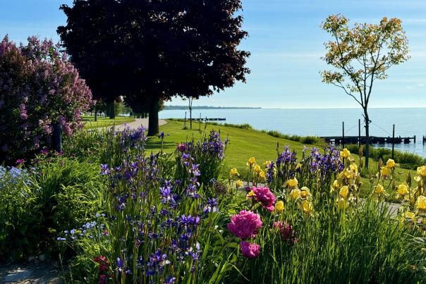 Spring flowers along Mariners Trail in Manitowoc