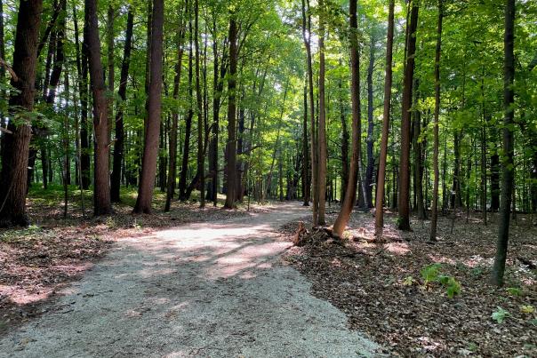 Camp Vits wooded gravel trail