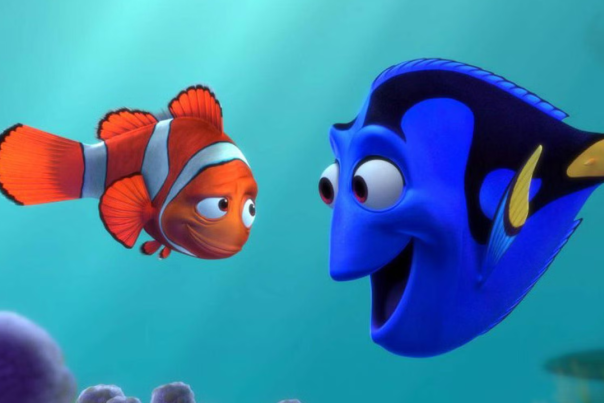 Finding Nemo Stock Photo