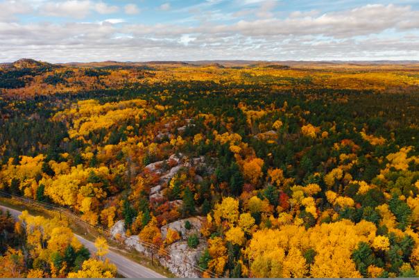 Aerial view of fall color over CR 550
