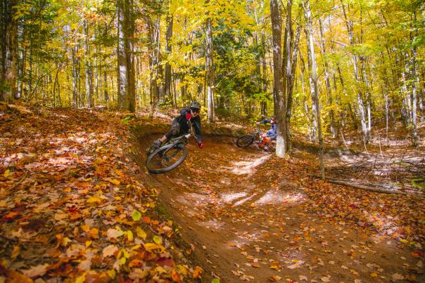 Mountain biking among fall leaves on the NTN in autumn