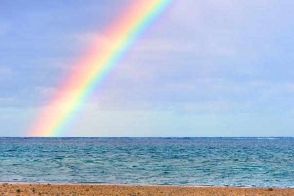 LGBTQ+ Businesses on MVY