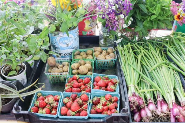 Plant-Based Dining on Martha’s Vineyard: A Guide for Vegan and Vegetarian Visitors