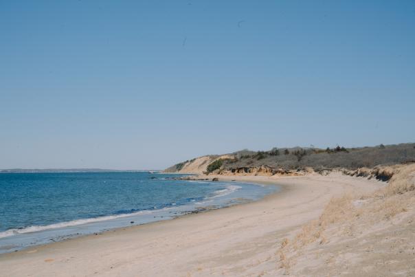 Lambert's Cove
