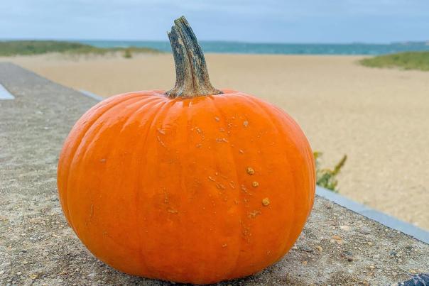 Halloween Happenings on Martha's Vineyard