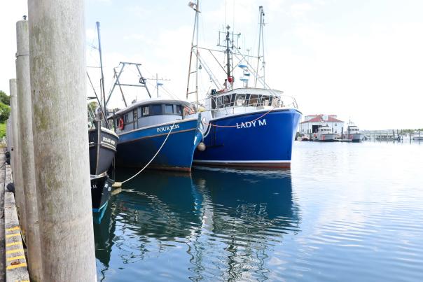 See It All (or Most of It!) with a Sightseeing Tour on Martha’s Vineyard
