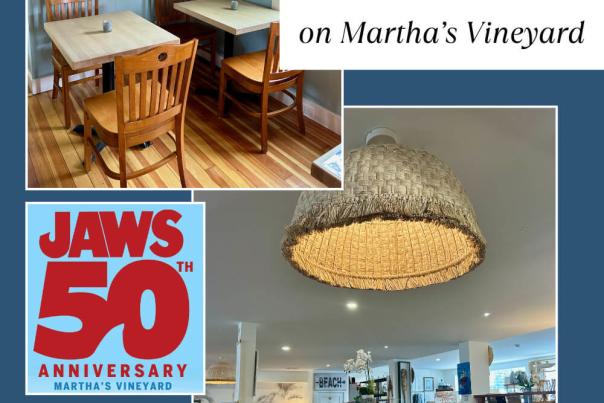 Martha’s Vineyard Chamber of Commerce’s 2025 Summer Guide