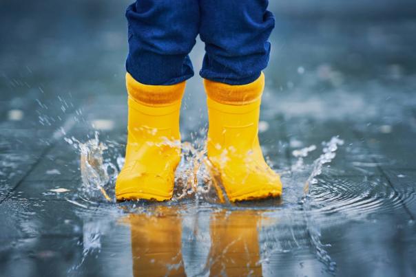 Ten Things to do on a Rainy Day on Martha's Vineyard