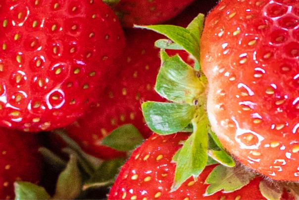 Strawberry Blog Cover