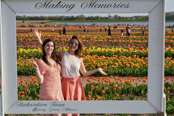 Tulip Frame