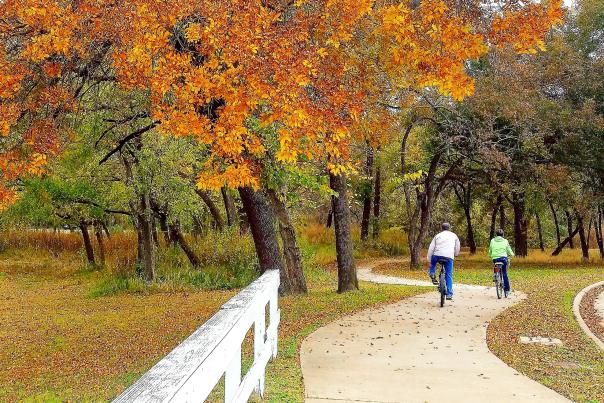 Fall leaves with bicycles on trail
