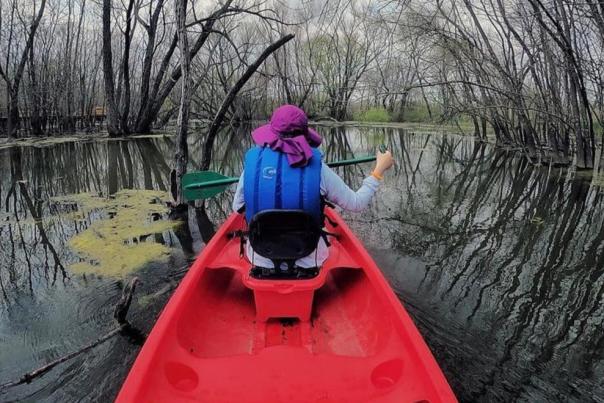 Kayaking at The Heard Natural Science Museum & Wildlife Sanctuary