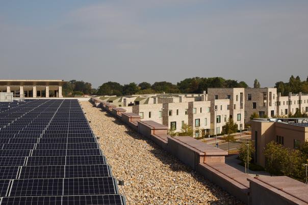 solar panels on the roof of the Hyatt Centric hotel Cambridge