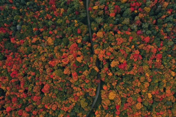 Aerial shot of a road surrounded by fall color in the Upper Peninsula of Michigan