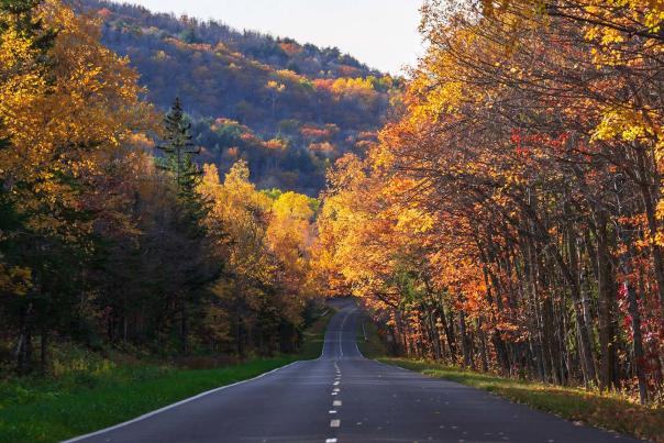 A road showcasing fall color in the Upper Peninsula