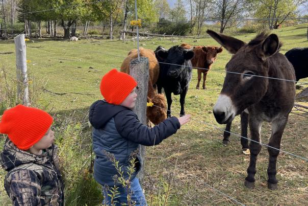 Children looking at animals at a local pumpkin patch and farm in the Upper Peninsula of Michigan