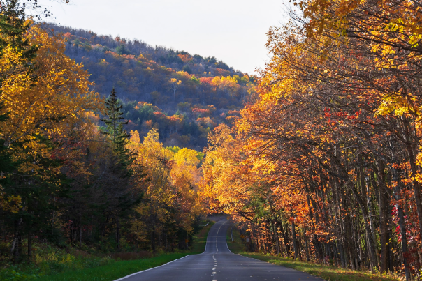 A road during fall color season in the Upper Peninsula of Michigan.
