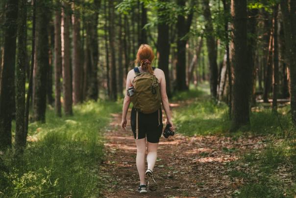 Hiking at Tahquamenon Falls State Park, located in the Upper Peninsula of Michigan