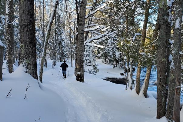 Winter snowshoeing in Michigan's Upper Peninsula, USA