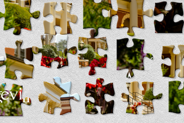 Puzzle Header