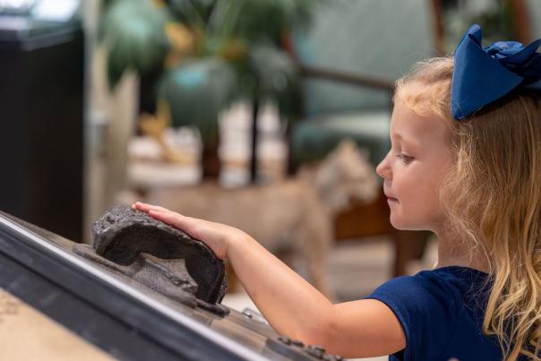 Natural History Museum