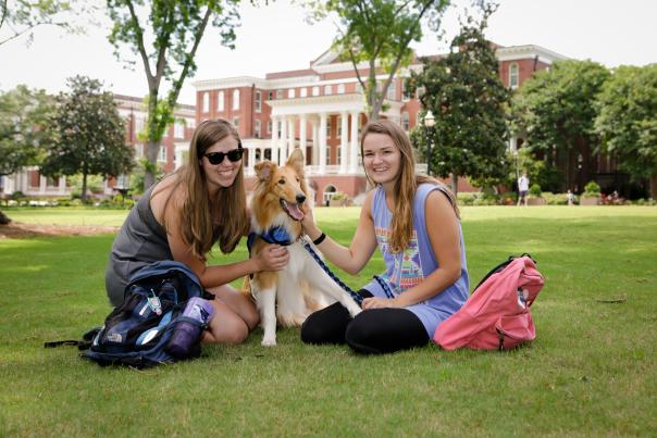 Dog on Georgia College front campus