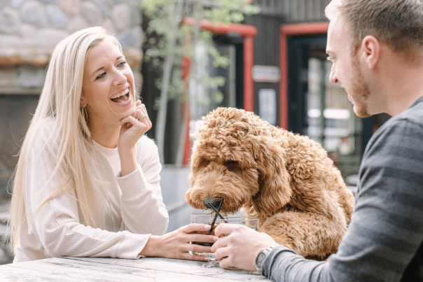 AprilBlog2_TosaHeaderImage