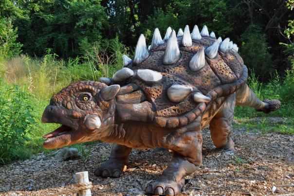 A model of a Euoplocephalus dinosaur with a heavily armored body and large white spikes on its back, posed in a defensive stance in a forested setting.