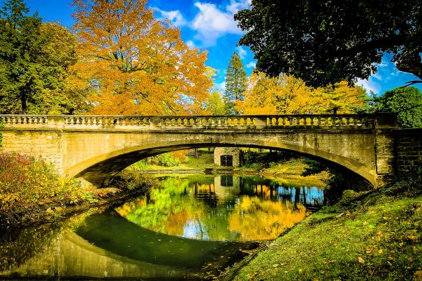 Forest Home Cemetery & Arboretum