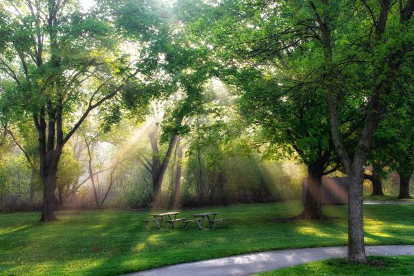 Sun rays at Hoyt Park