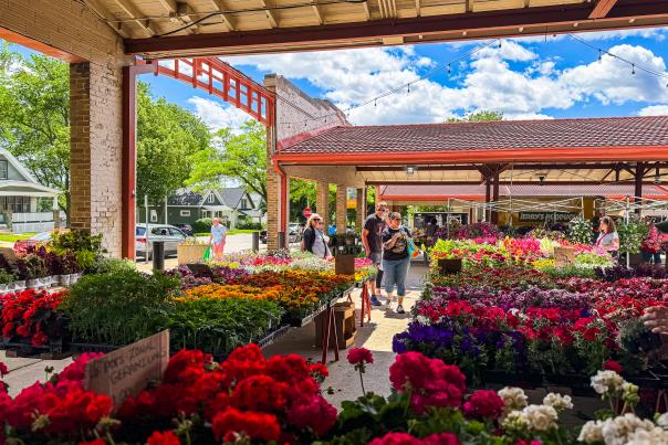 People browsing colorful flower and plant displays at an outdoor farmers market on a sunny day, with rows of vibrant blooms under a covered pavilion.