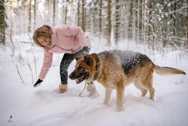 dog snow mnw
