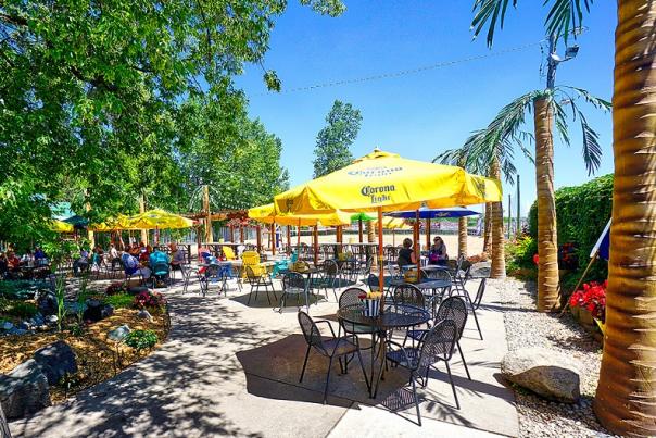 Sunny patio with trees and umbrellas
