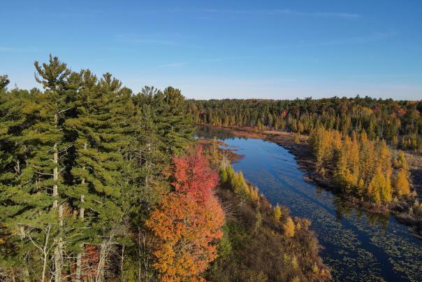 Aerial view of a lake with trees and fall color.